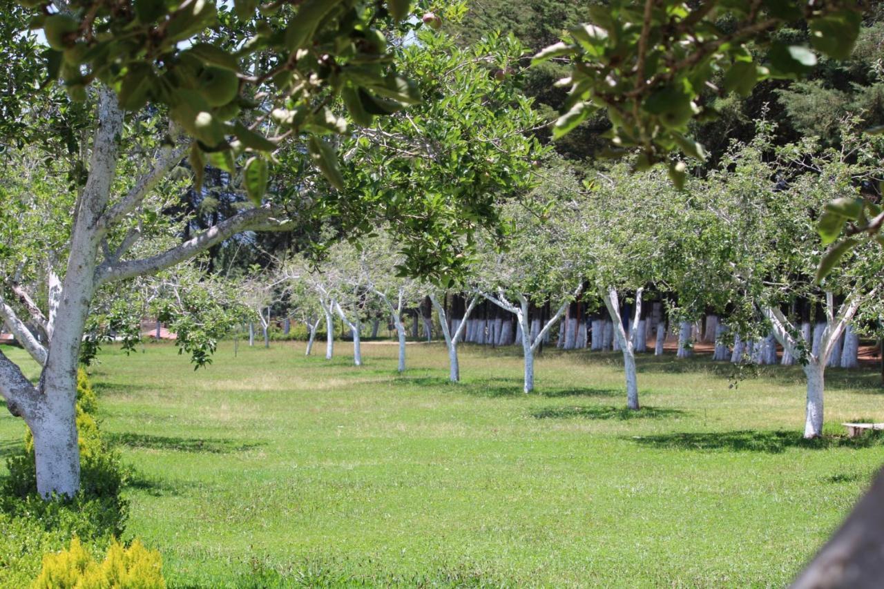 Cabanas Rancho El Mayab Zacatlan Ngoại thất bức ảnh